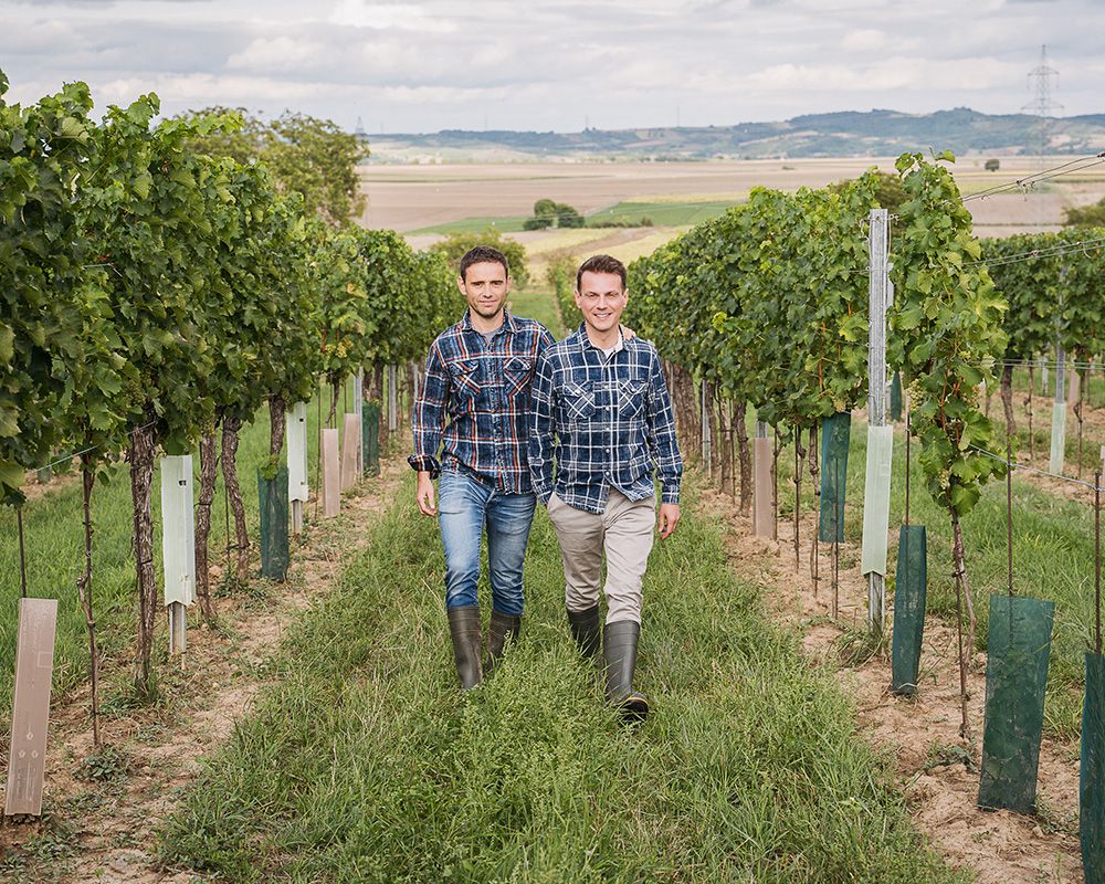 Weingut Dr. Wunderer Bild 1