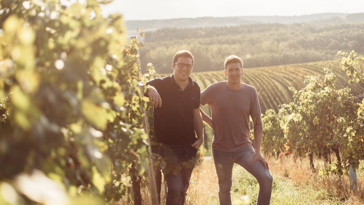 Weingut Gober-Freinbichler Bild 1