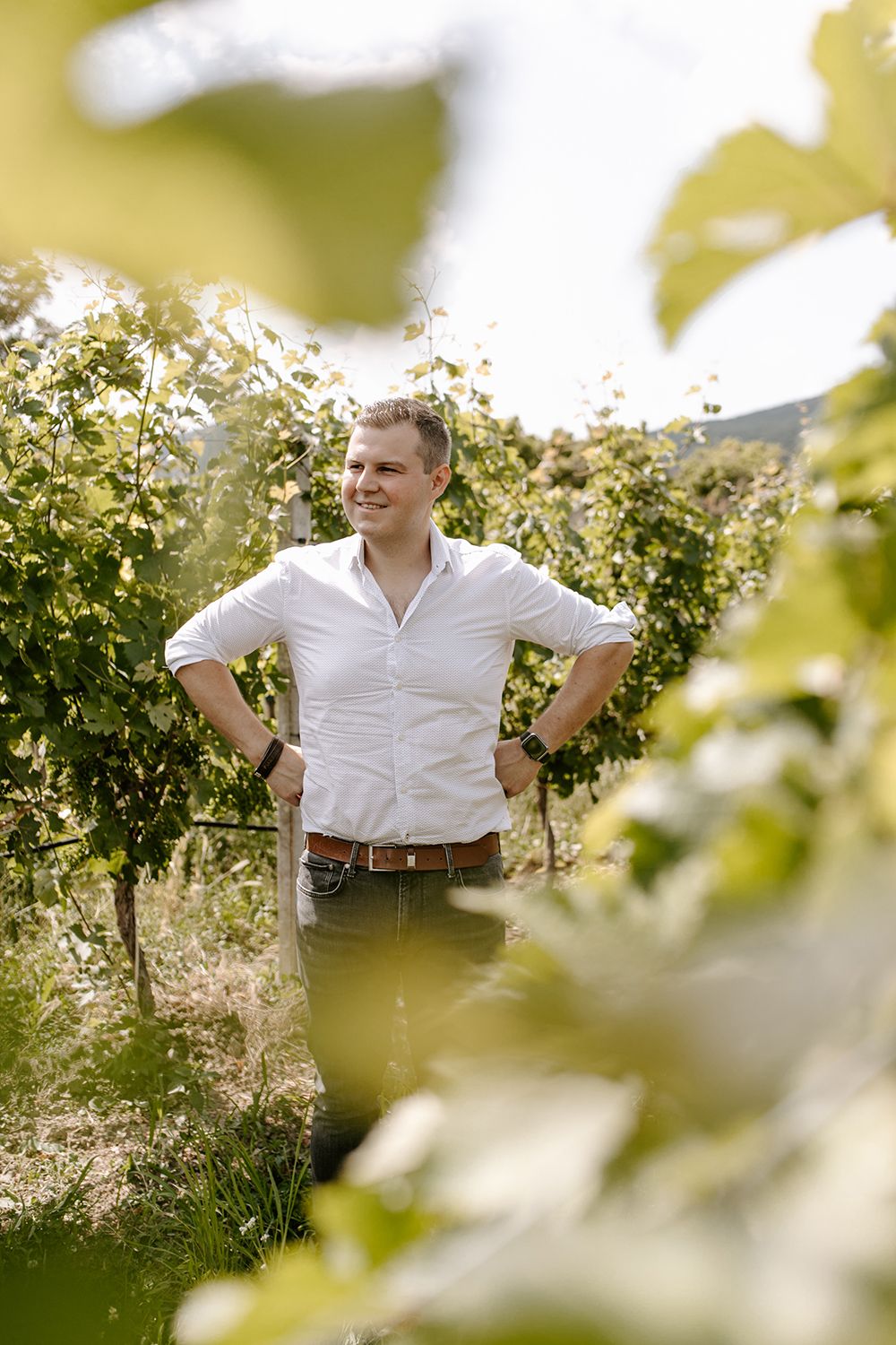Weingut Alphart am Mühlbach Bild 1