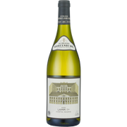 Grüner Veltliner Ried Lamm 1ÖTW Kamptal DAC 2023