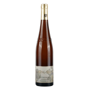 Riesling Rothenberg wurzelecht 2021