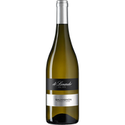 Sauvignon Blanc Venezia Giulia IGT 2024