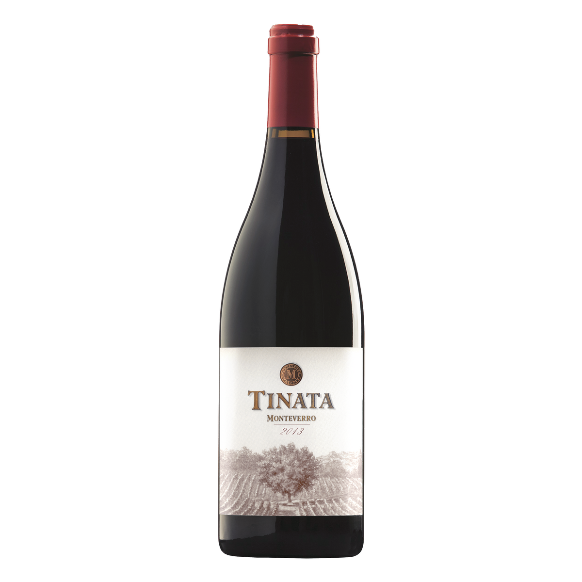 Tinata IGT 2013