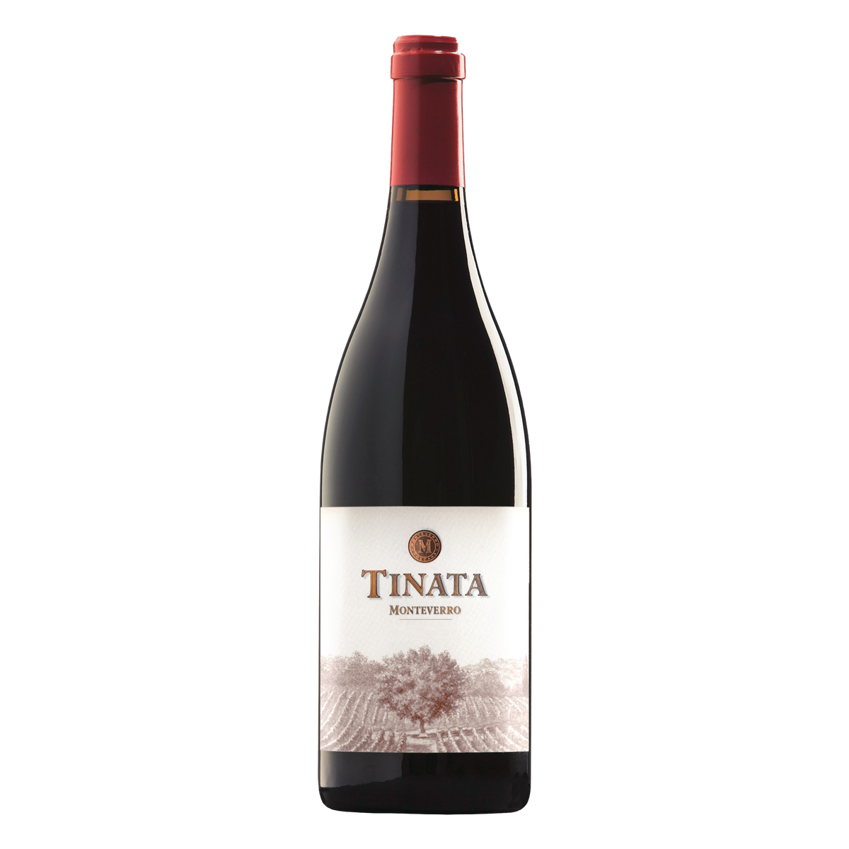 Tinata IGT 2018