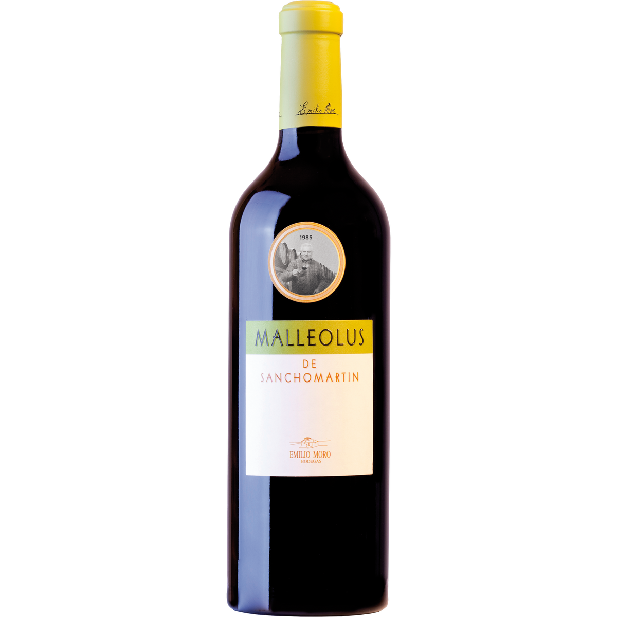 Malleolus de Sanchomartin 2011