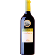 Malleolus de Sanchomartin 2019