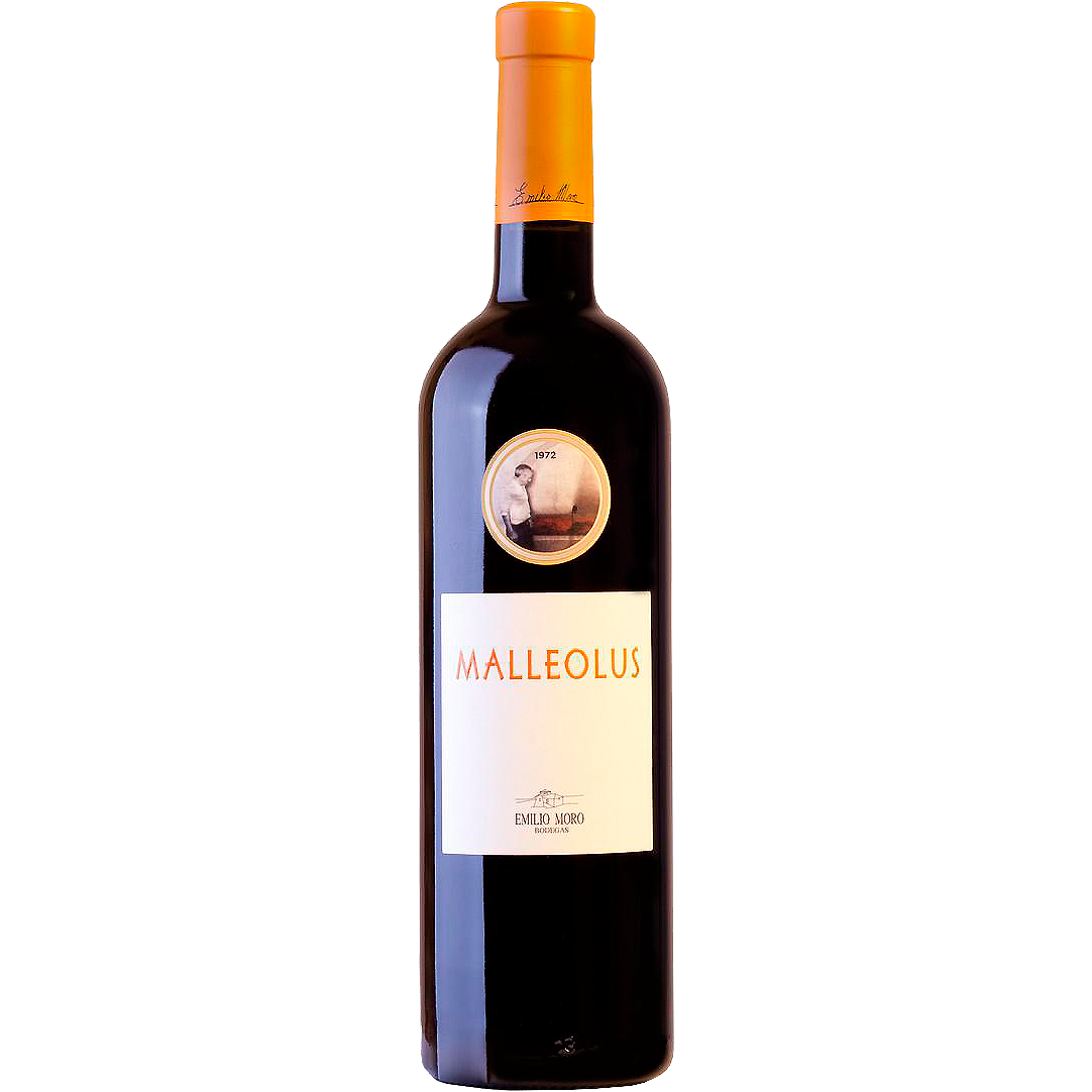 Malleolus 2022