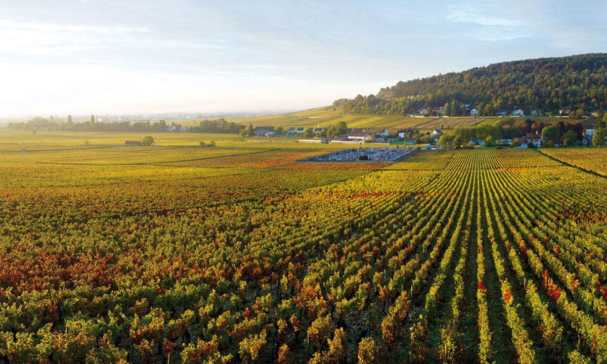Header Domaine de Bellene