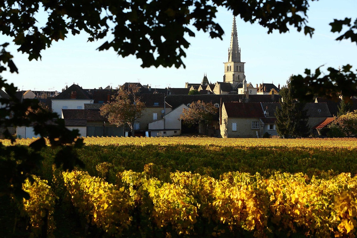 Header Domaine Chavy-Chouet