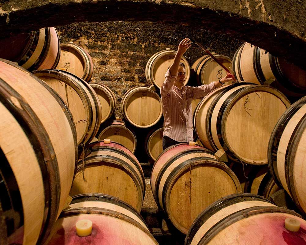 Domaine Méo-Camuzet Bild 2