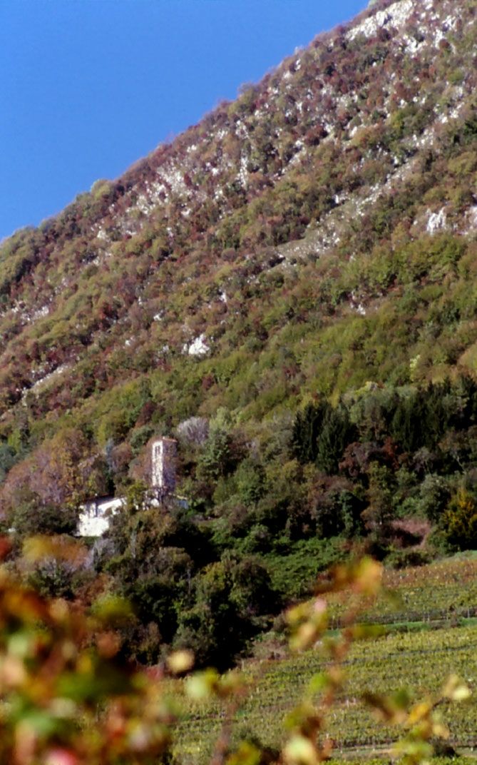 AZ. AGR. Giovanni Dri Bild 2