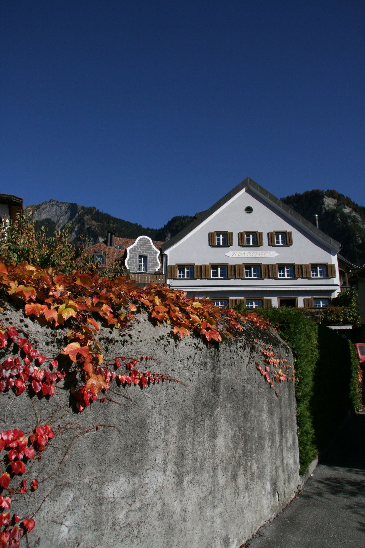 Weingut Donatsch Bild 2