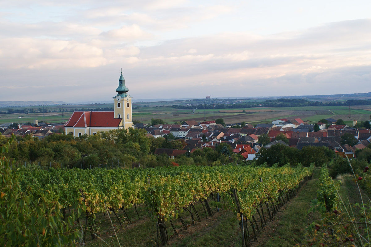Header Weingut Ernst Frischauf