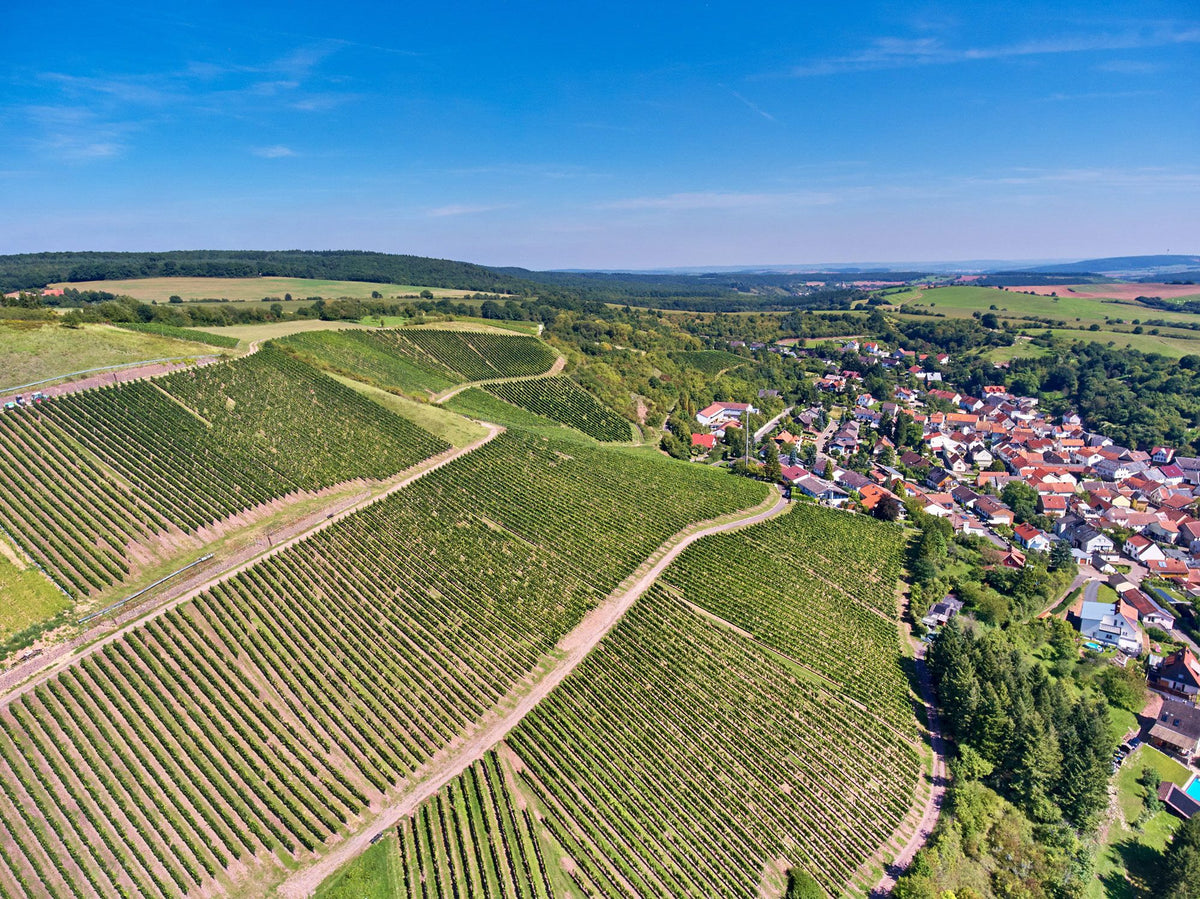 Schäfer-Fröhlich Bild 2