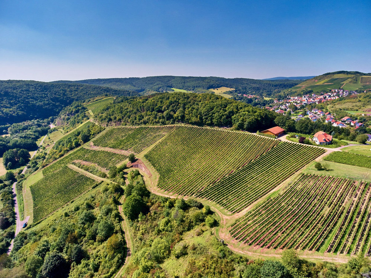 Header Schäfer-Fröhlich