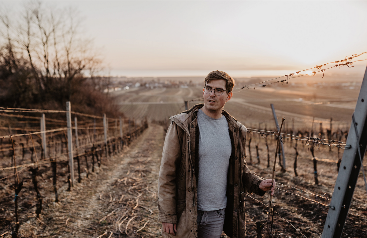Weingut Andreas Gsellmann Bild 2