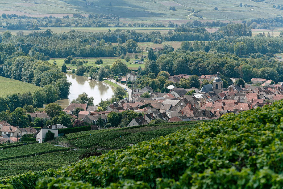 Champagne Geoffroy Bild 2