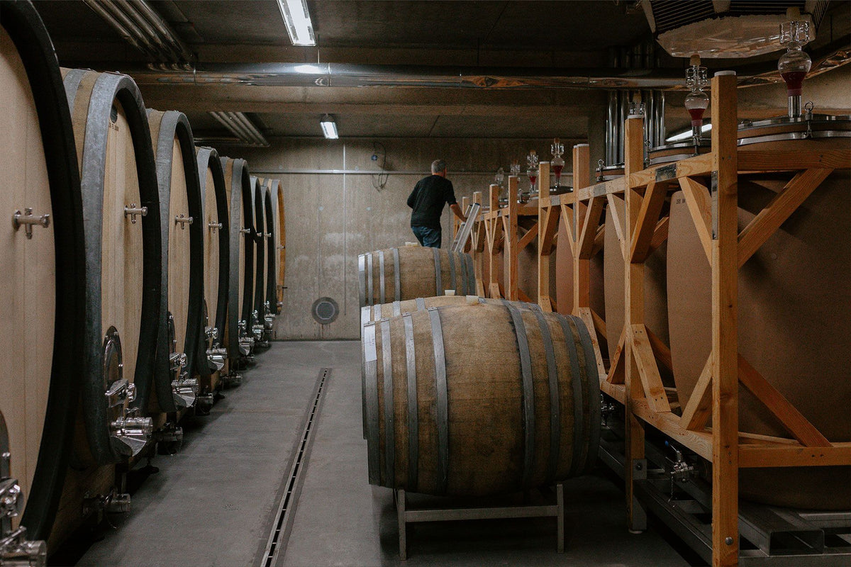 Weingut Gernot & Heike Heinrich Bild 2