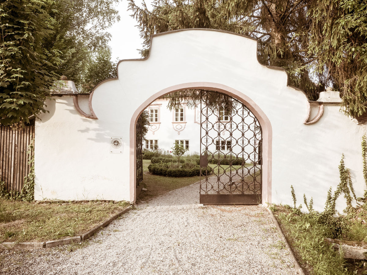 Weingut Hirsch Bild 3