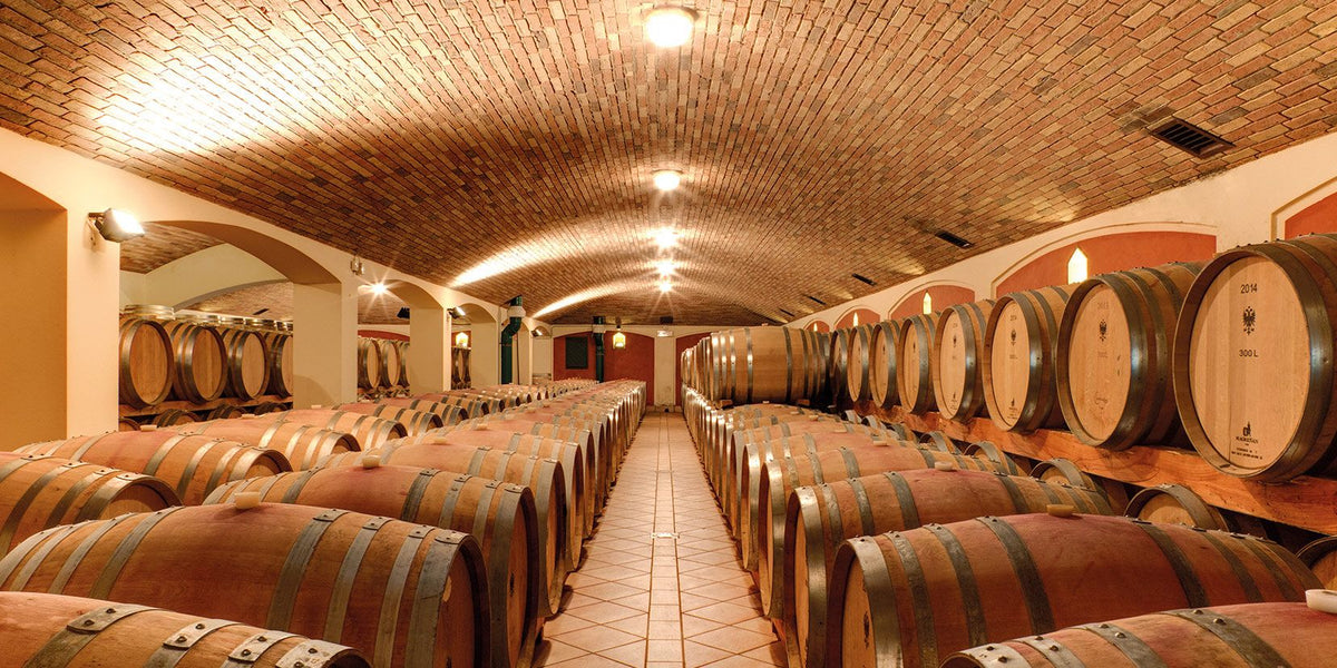 Weingut Jermann Bild 2