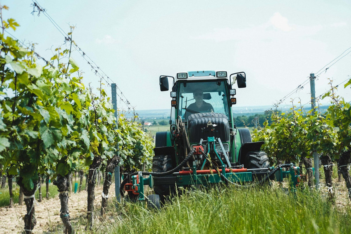 Header Weingut Paul Kerschbaum