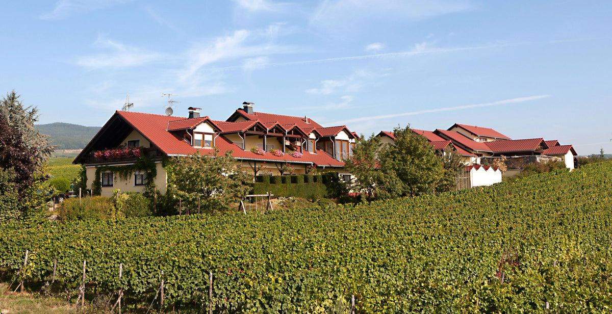 Header Weingut Peter Jakob Kühn