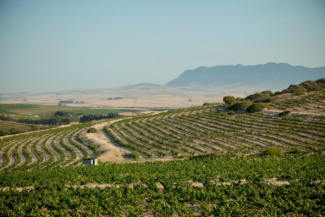Header Lammershoek by Franz Beckenbauer