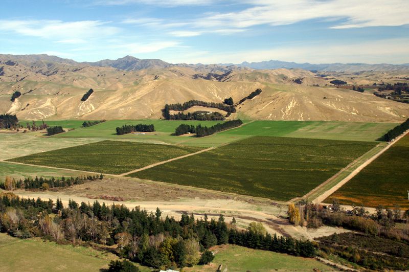 Mount Nelson Bild 2