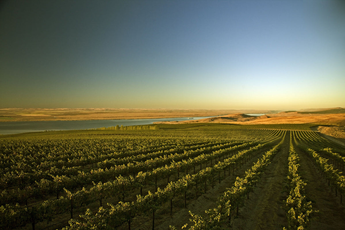 Header Chateau Ste. Michelle