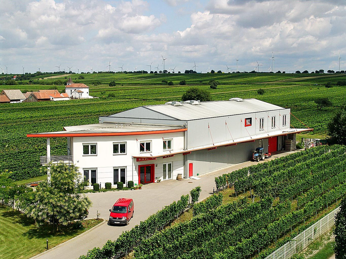 Weingut Pöckl Bild 2