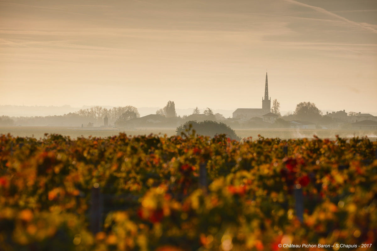 Header Chateau Pichon-Longueville-Baron