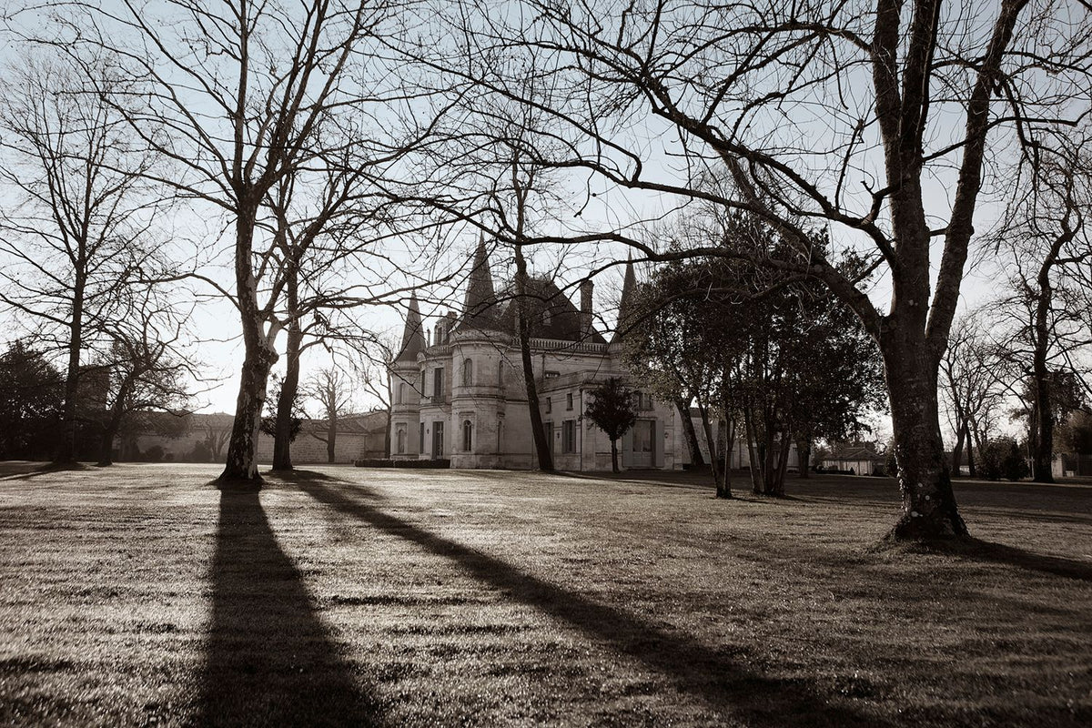 Header Château Palmer