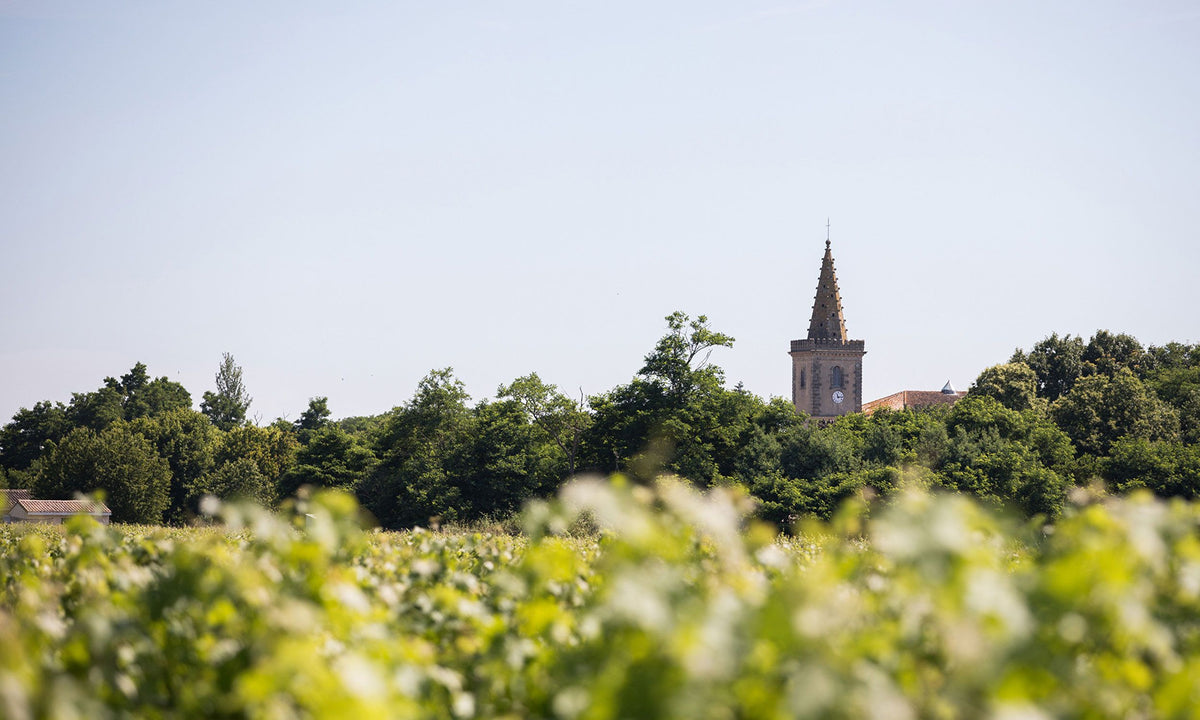 Header Château Poitevin