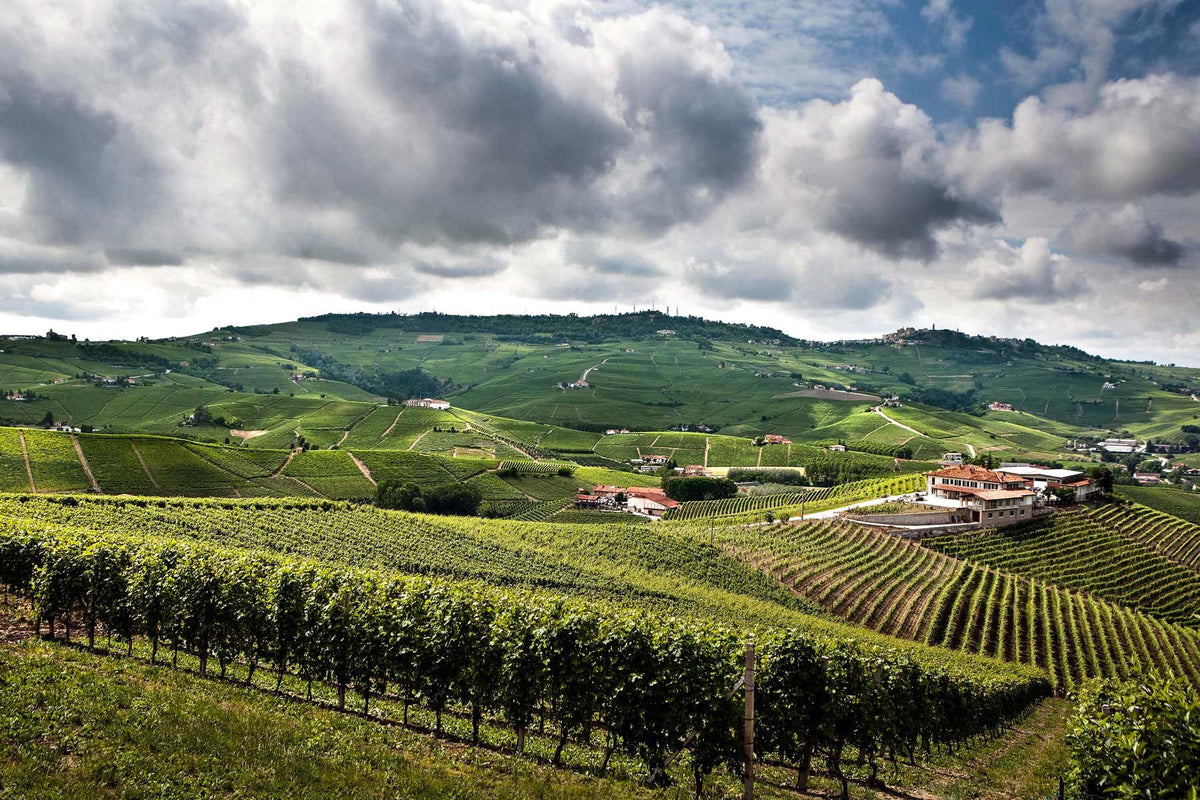 Header AZ. AGR. Paolo Scavino