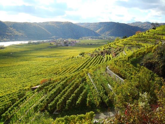 Weingut Veydar-Malberg Bild 2