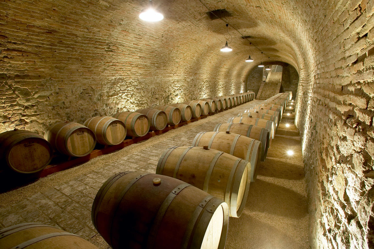 Weingut Fritz Wieninger Bild 2