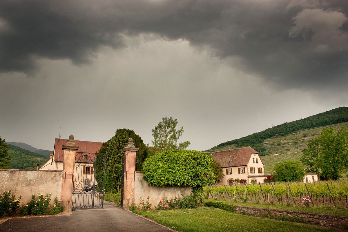 Domaine Weinbach Bild 2
