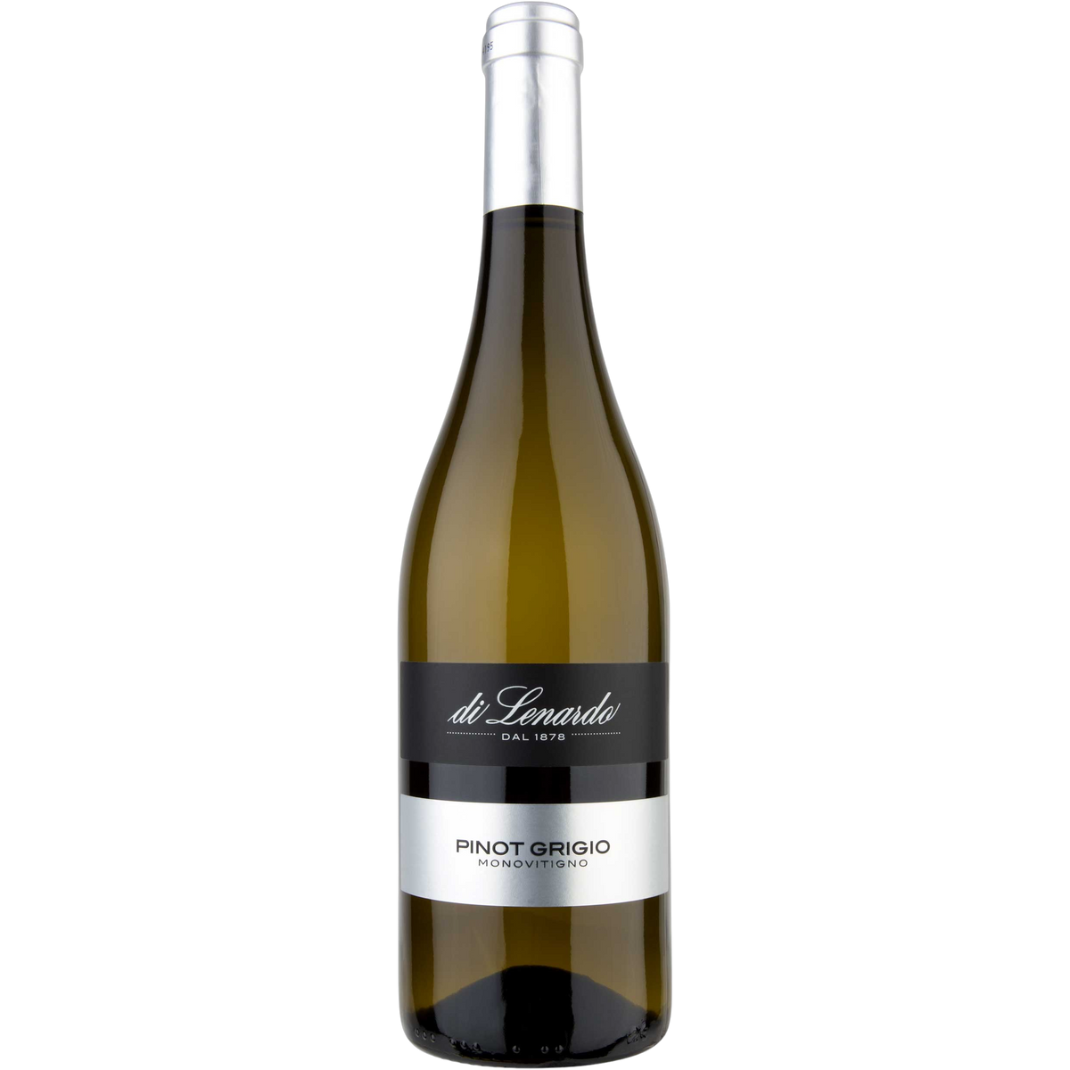Pinot Grigio Friuli DOC 2025