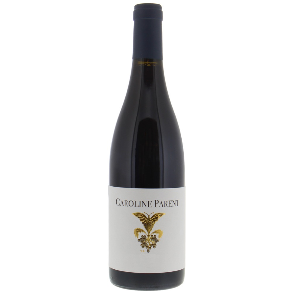 Bourgogne Hautes Cotes de Nuits Blanc 2023